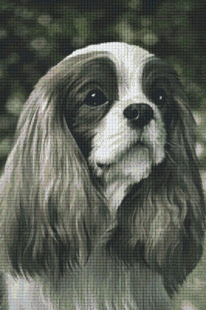 Cavalier King Charles Spaniel Thirty [30] Baseplate PixelHobby Mini-mosaic Art Kit image 0